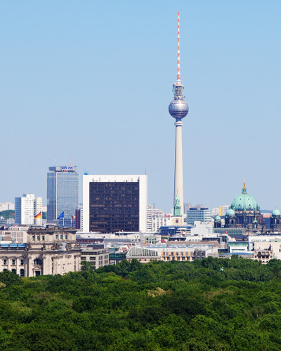 Kräuterwanderung in Berlin: Knoblauchsrauke wildkräuter kochkurs in berlin