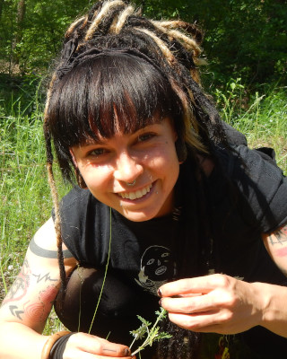 Wildkräuterevents Berlin: Lungenkraut Kräuterwanderung in Berlin : Lungenkraut