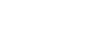 Wildkräuterevents Berlin